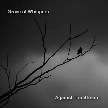 Against the Stream