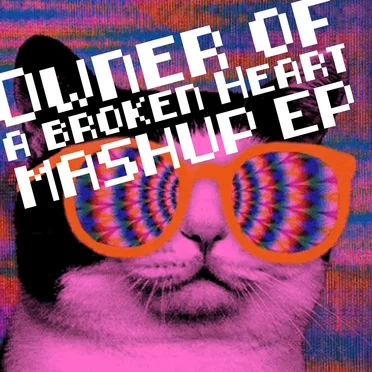Owner of a Broken Heart Mashup