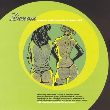 Erotic Moments in House Vol. 2 by Various Artists - album cover