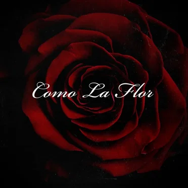 Como La Flor by El Caplan - album cover