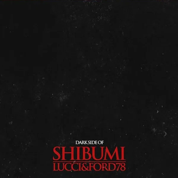 Dark Side Of Shibumi