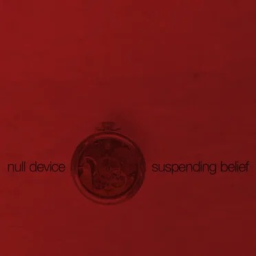 Suspending Belief
