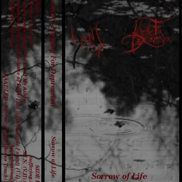 Sorrow of Life by Kaat - album cover