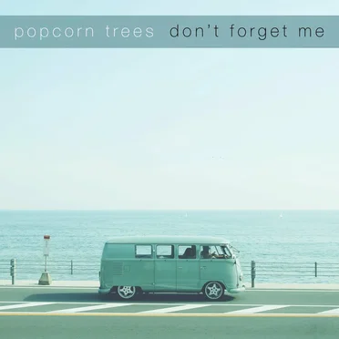 Don’t Forget Me by Popcorn Trees - album cover