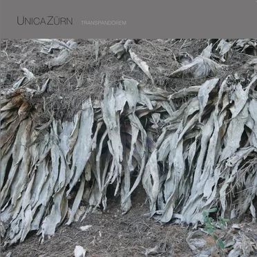 Transpandorem by UnicaZürn - album cover