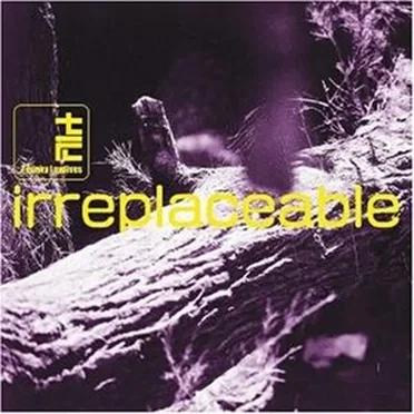 Irreplaceable / Urban Illusion by The Funky Lowlives - album cover