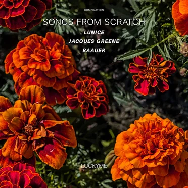 Songs From Scratch by Various Artists - album cover