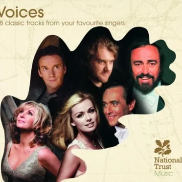 Voices by Various Artists - album cover