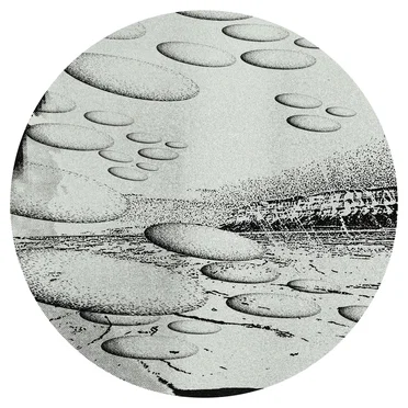 FR029 by Liquid Silk - album cover