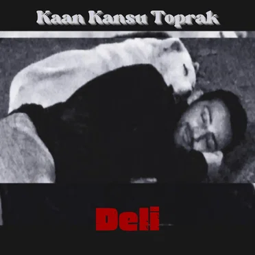 Deli by Kaan Kansu Toprak - album cover
