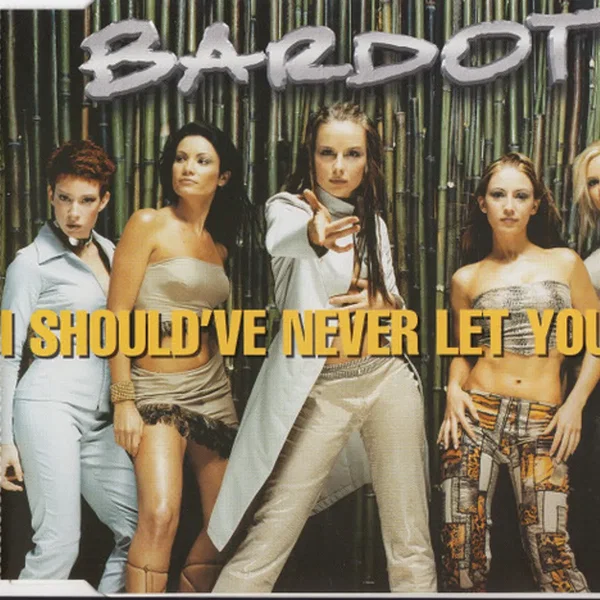 I Should've Never Let You Go