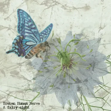 A fairy eight by Broken Human Nerve - album cover