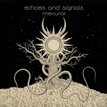 Echoes and Signals