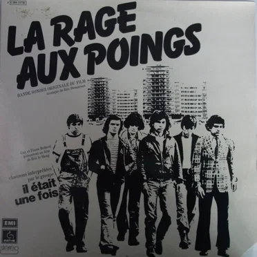 La rage aux poings