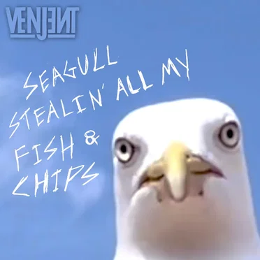 Seagull Stealin’ all my Fish & Chips