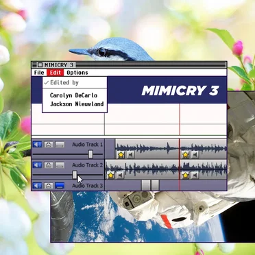 Mimicry Mixtape 3 by Various Artists - album cover