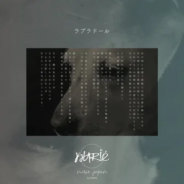 ラブラドール