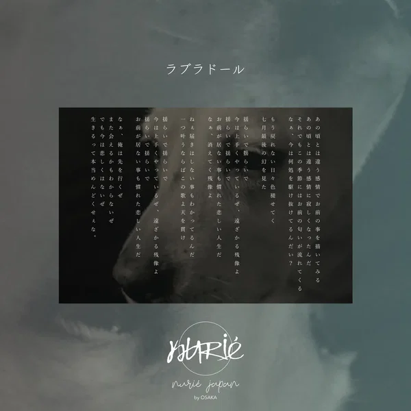 ラブラドール