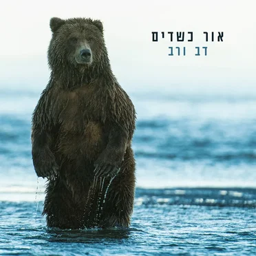 דב ורב by אור כשדים - album cover