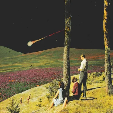 Sentient Sunsets & Frail Night Shades