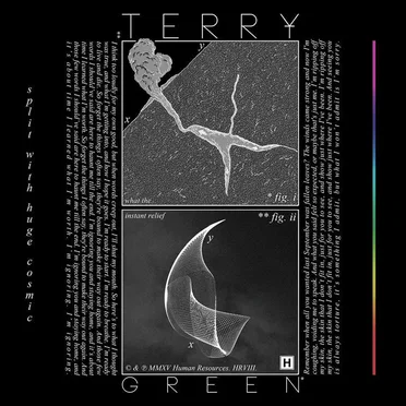 TERRY GREEN / HUGE COSMIC split EP