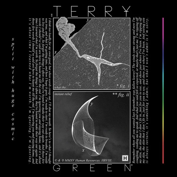 TERRY GREEN / HUGE COSMIC split EP