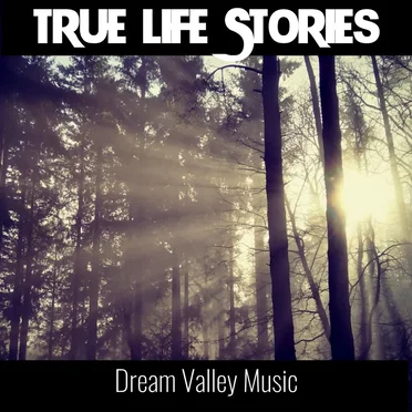 True Life Stories by Dream Valley Music - album cover