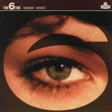 Wasps’ Nests by The 6ths - album cover