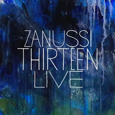 Zanussi Thirteen