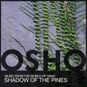 Shadow of the Pines by Music From the World of Osho - album cover