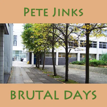 Brutal Days by Pete Jinks - album cover