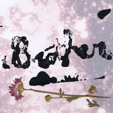 Melting Wax Daisies & The Demoralization of Urban Culture