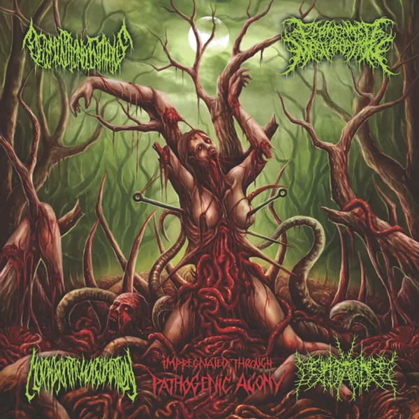 Impregnated Through Pathogenic Agony