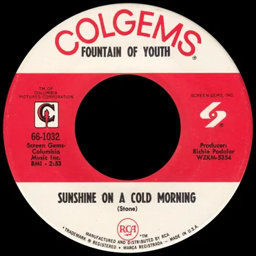 Sunshine On A Cold Morning by Fountain of Youth - album cover