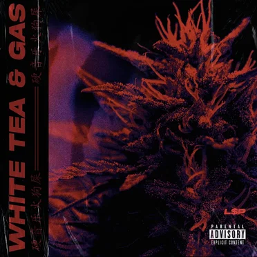 White Tea & Gas