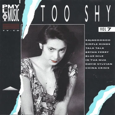 Play My Music, Volume 7, Too Shy by Various Artists - album cover