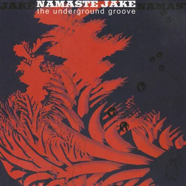 Namaste Jake