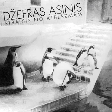 Atbalsis no atblāzmām