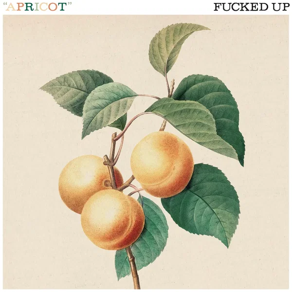 Apricot