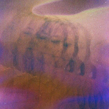 Dream From The Deep Well by Brigid Mae Power - album cover