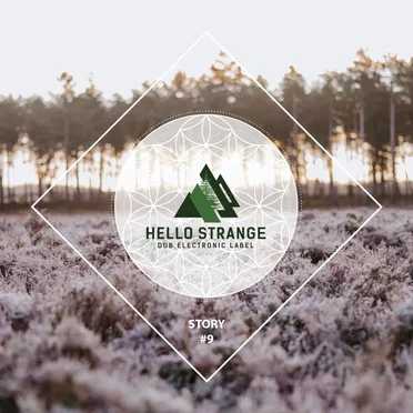 hello strange story #9 by Various Artists - album cover