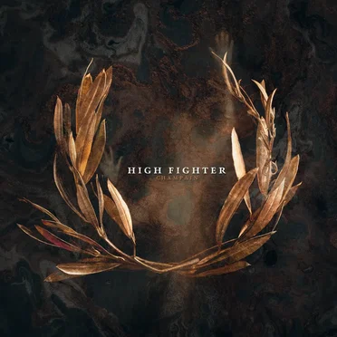 Before I Disappear by High Fighter - album cover