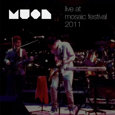 Live at Mosaic Festival 2011