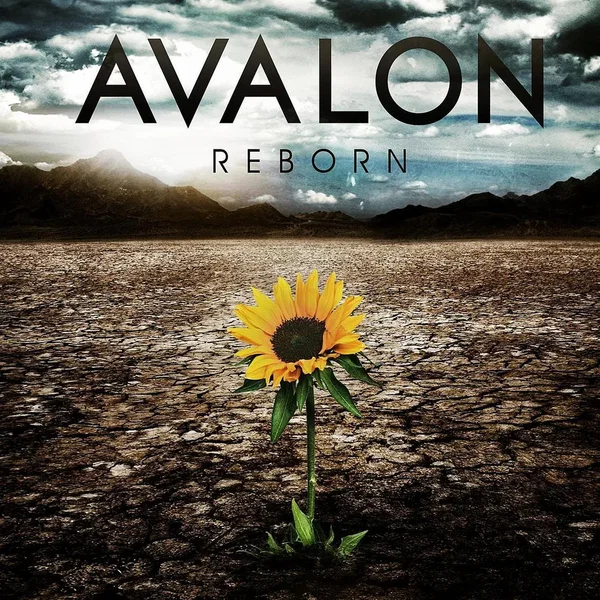 Reborn