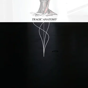 Tragic Anatomy by Mosh - album cover