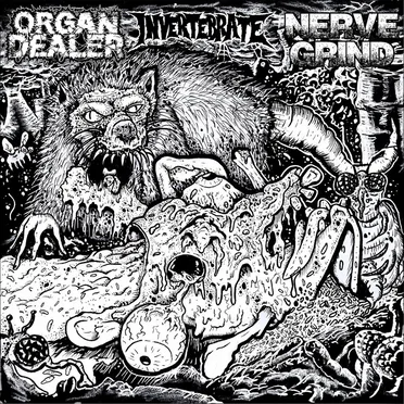 Organ Dealer / Nerve Grind / Invertebrate