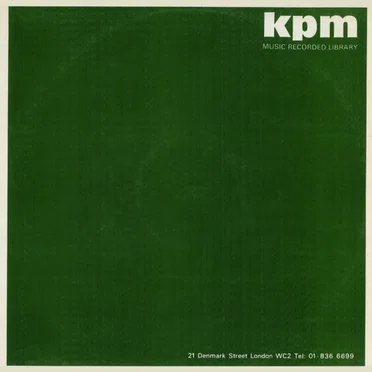 Pictures in the Mind