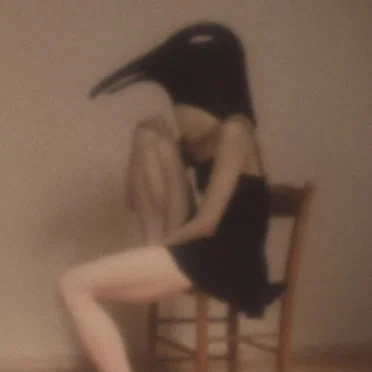 Penguin Cafe Orchestra Tribute by Various Artists - album cover