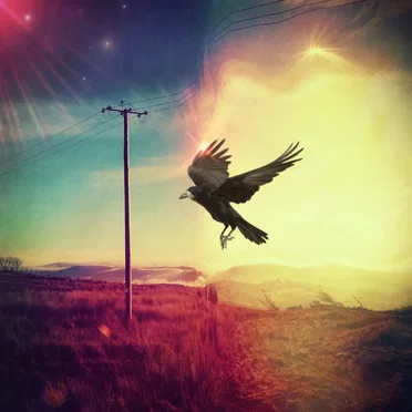 Borderland by Noel Griffin - album cover