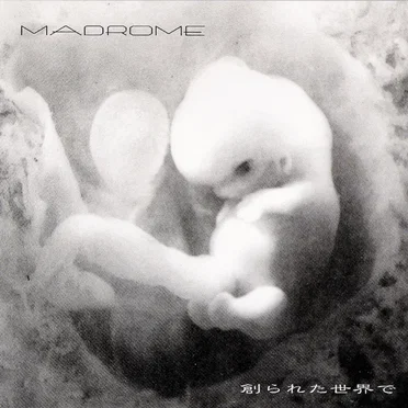 MADROME